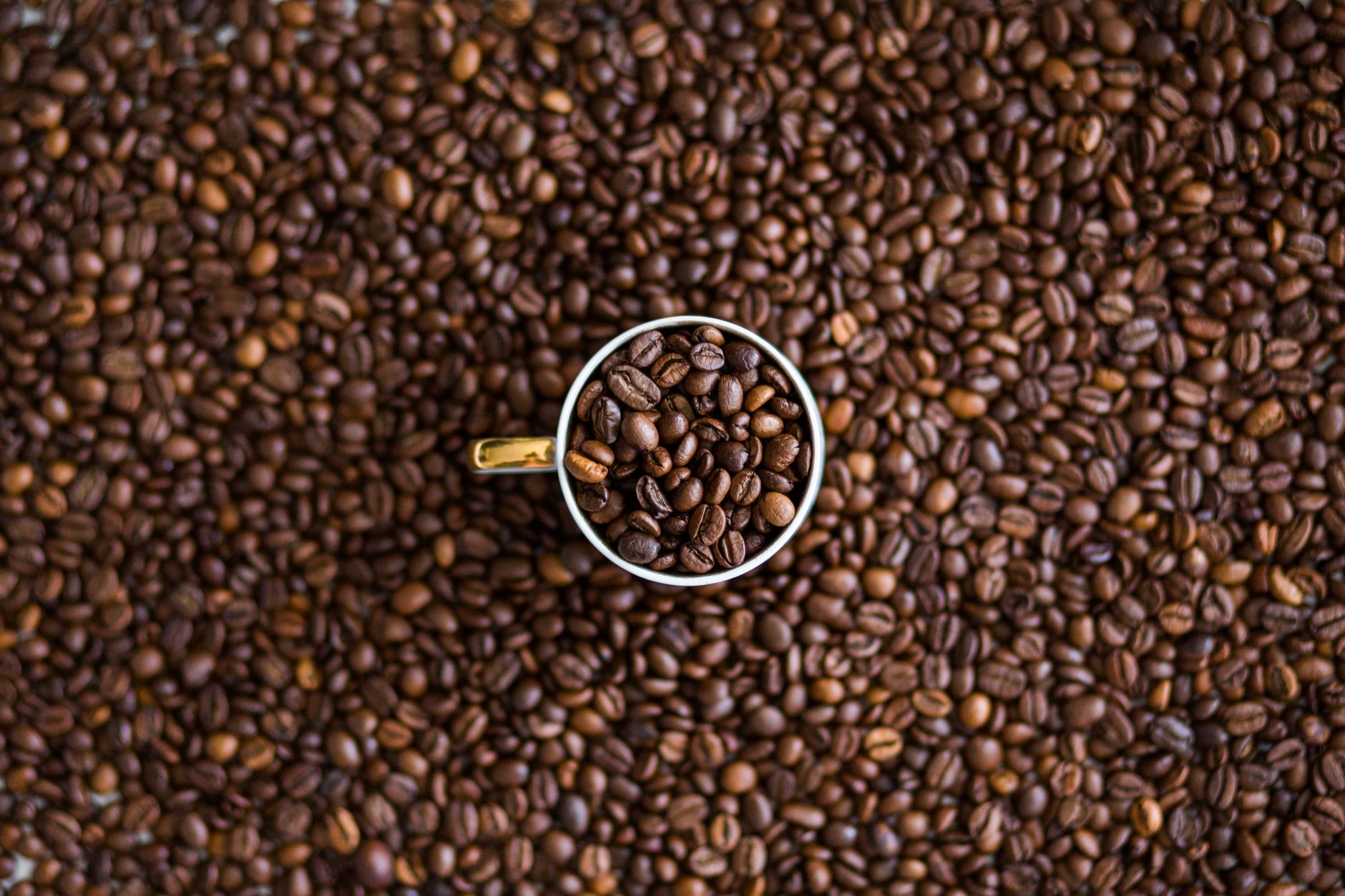 roasted coffee beans antioxidant polyphenols closeup