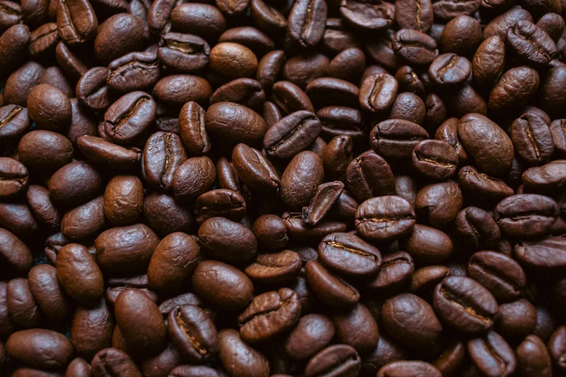 instant coffee granules close-up texture