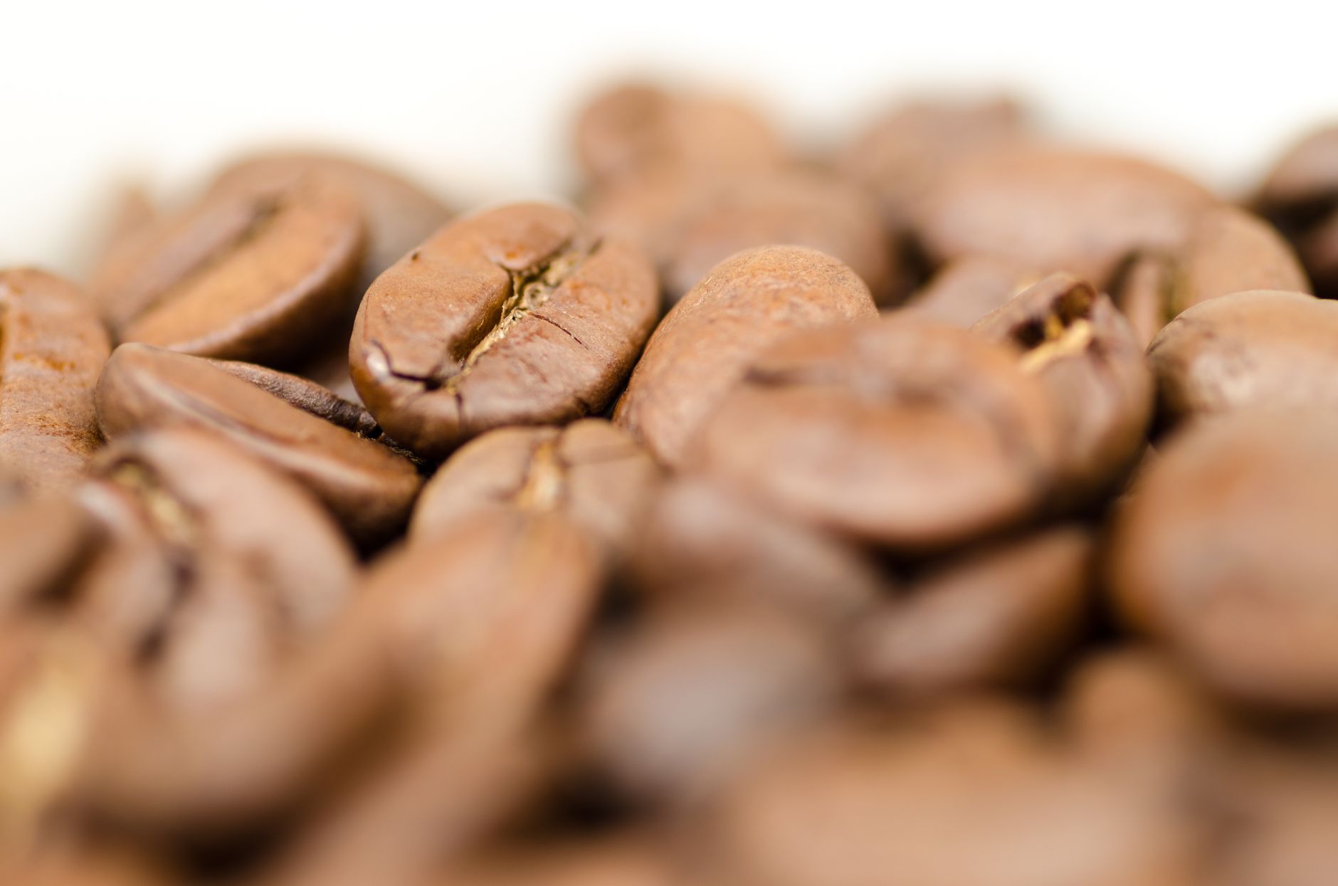 jamaican blue mountain coffee whole beans close-up