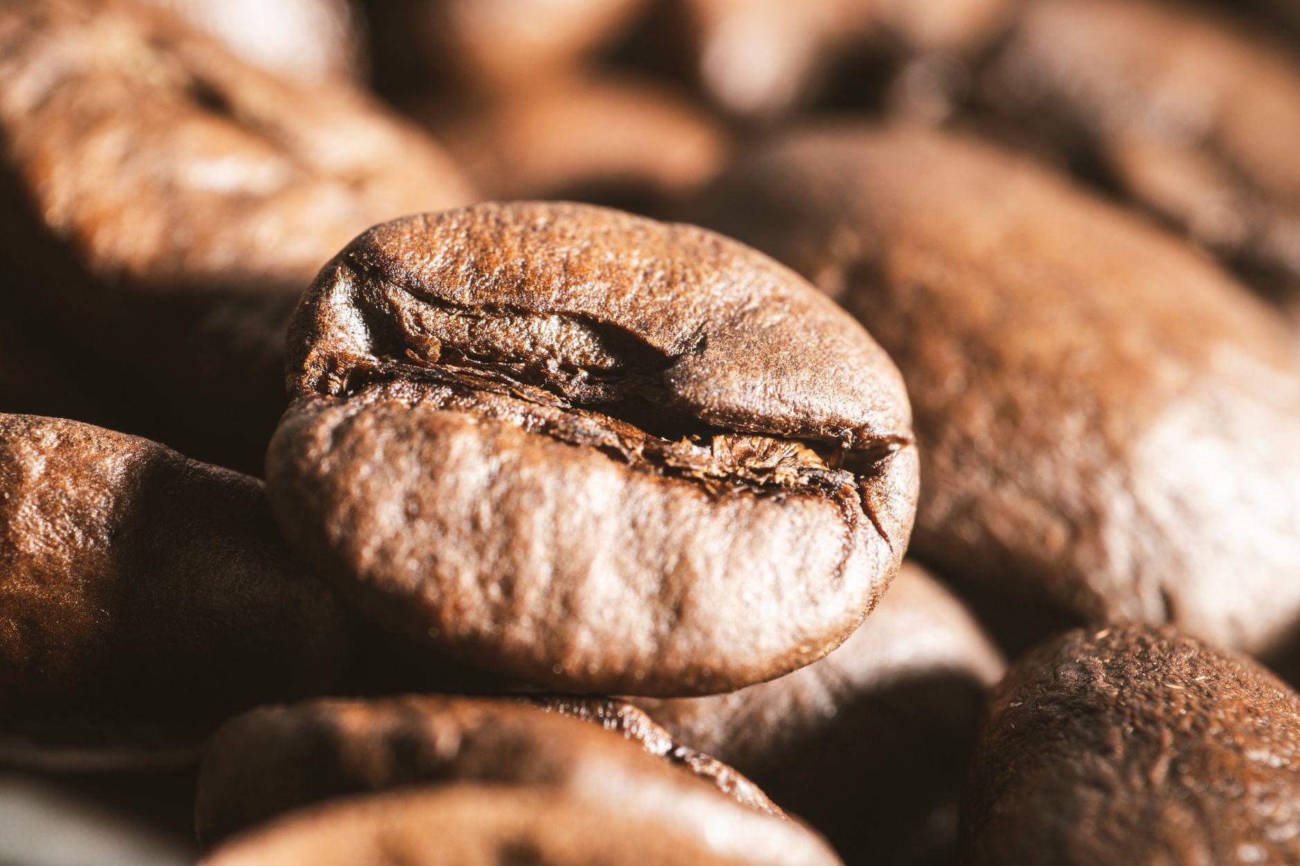 jamaican blue mountain coffee review