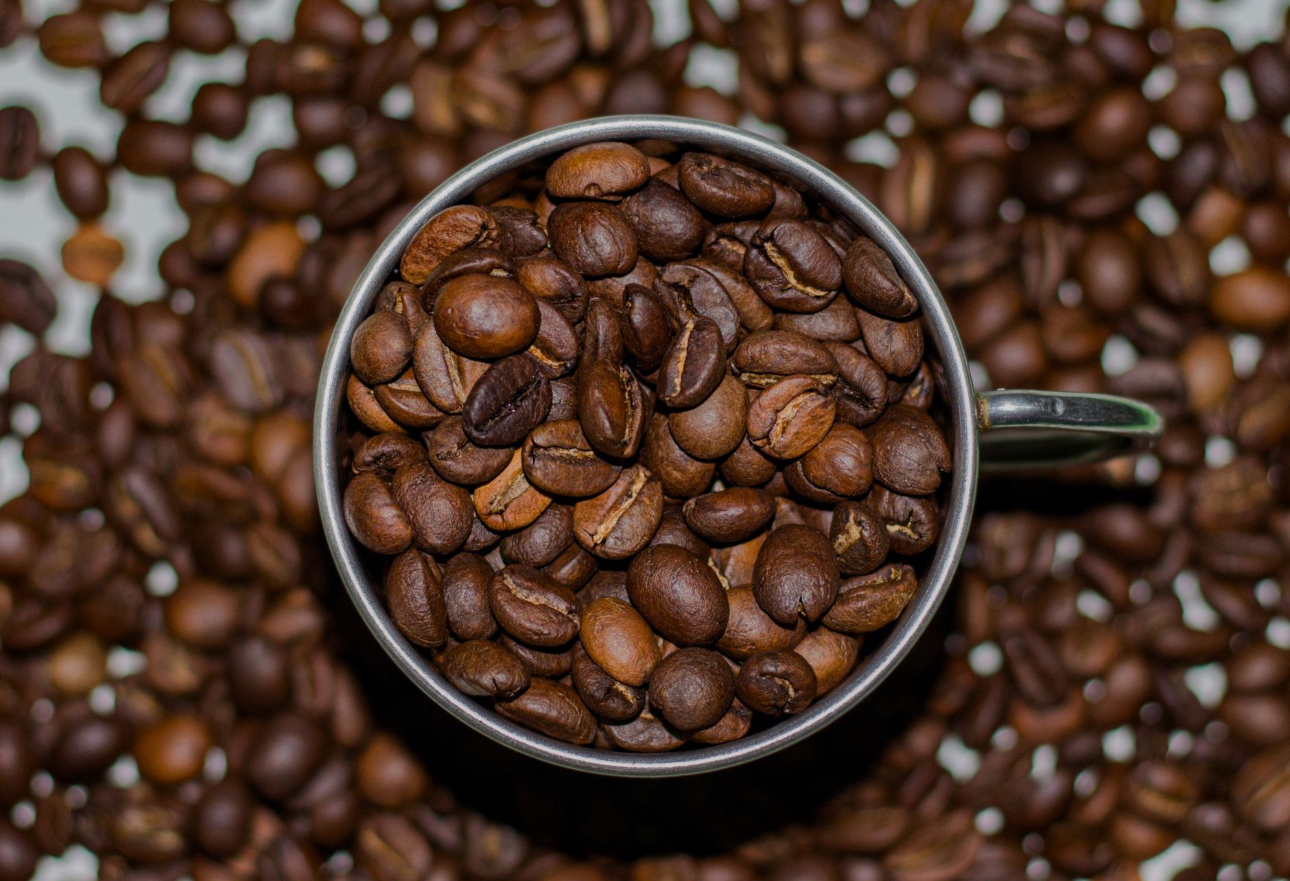 green coffee beans cross section roasting drum