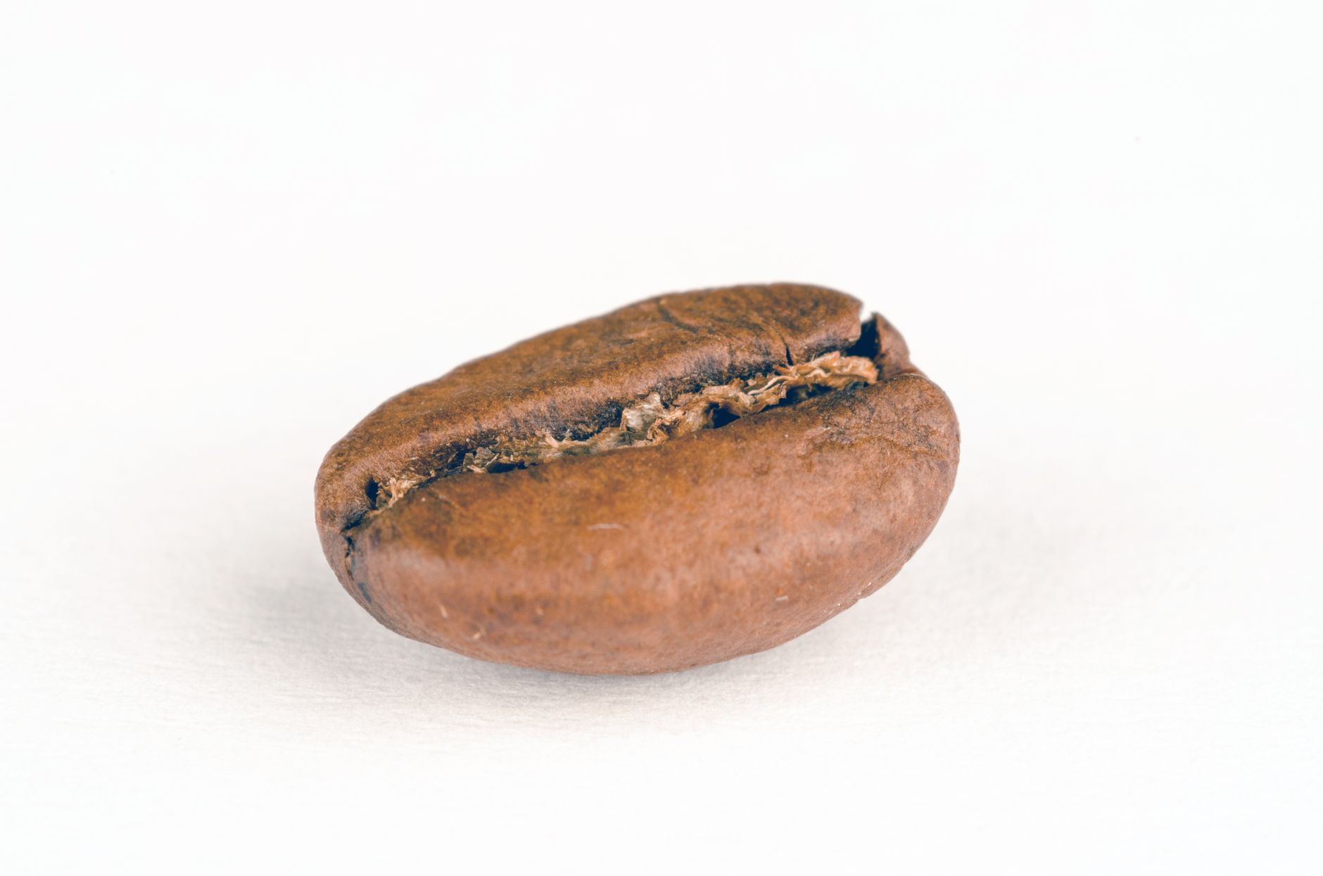 medium roast coffee beans rich brown matte no surface oil