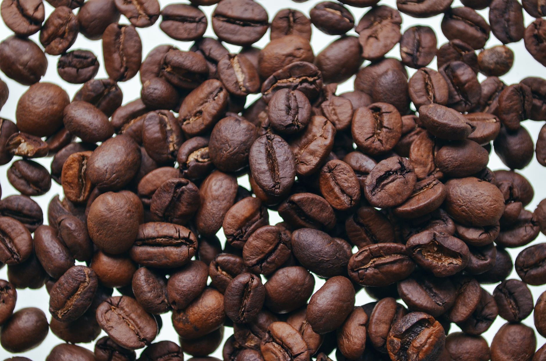 light vs medium vs dark roast coffee