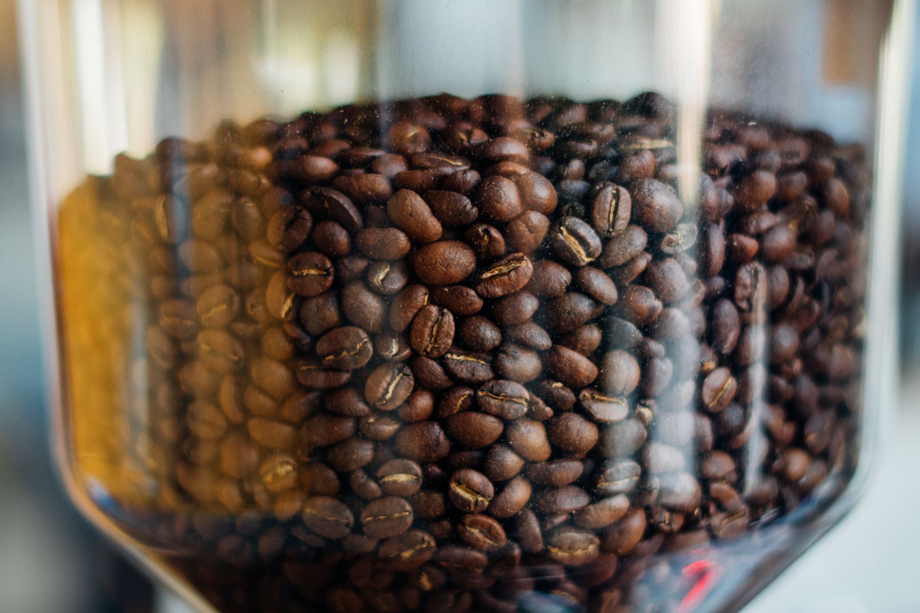 light roast vs dark roast coffee beans color comparison