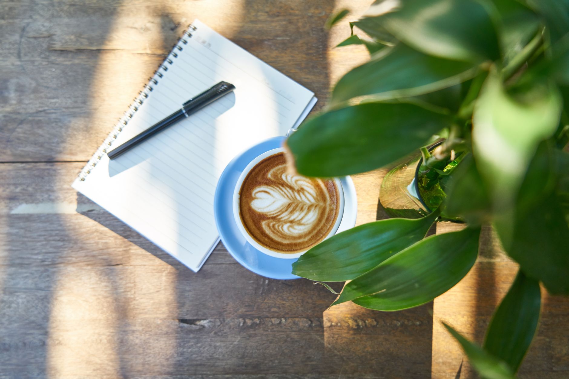 specialty coffee cupping flight aromatic notes assessment