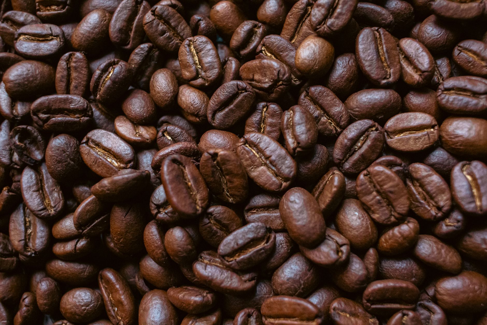 coffee grinder burr steel flat espresso fine grind