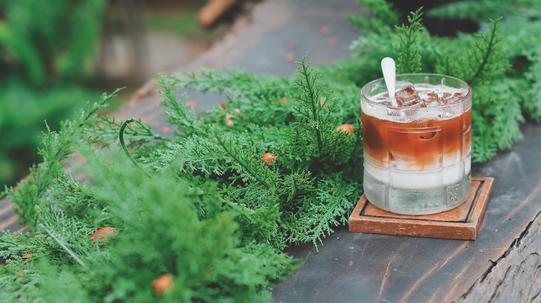 monin vs torani coffee syrup