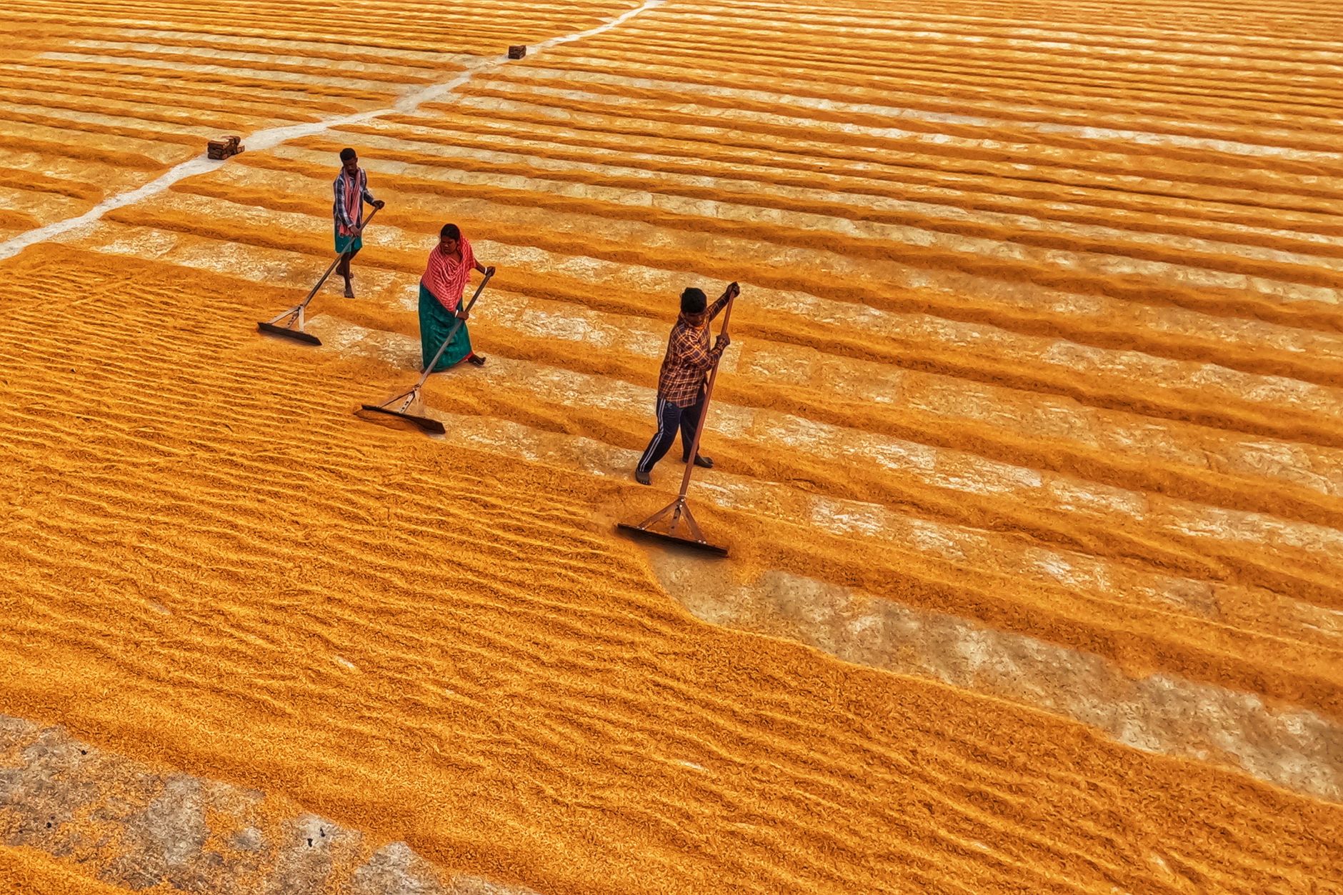 washed natural honey coffee processing drying beds Ethiopia