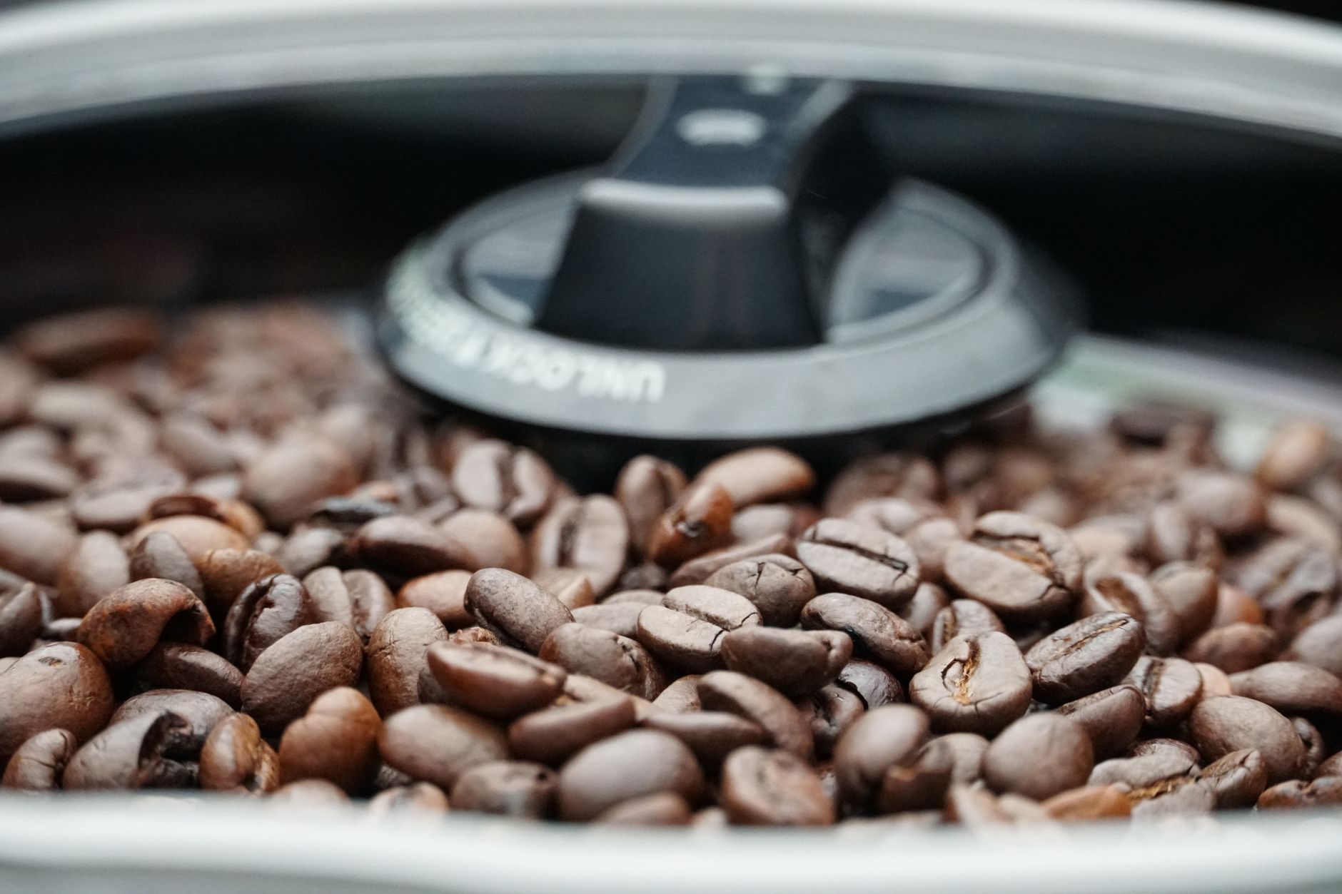 light roast coffee beans close up pale brown