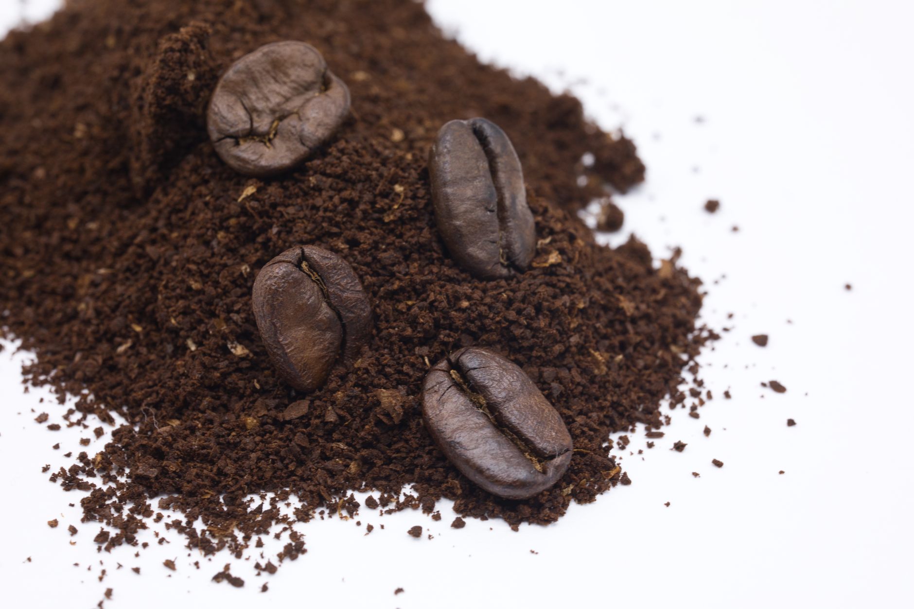 coffee grinder burr steel flat close-up