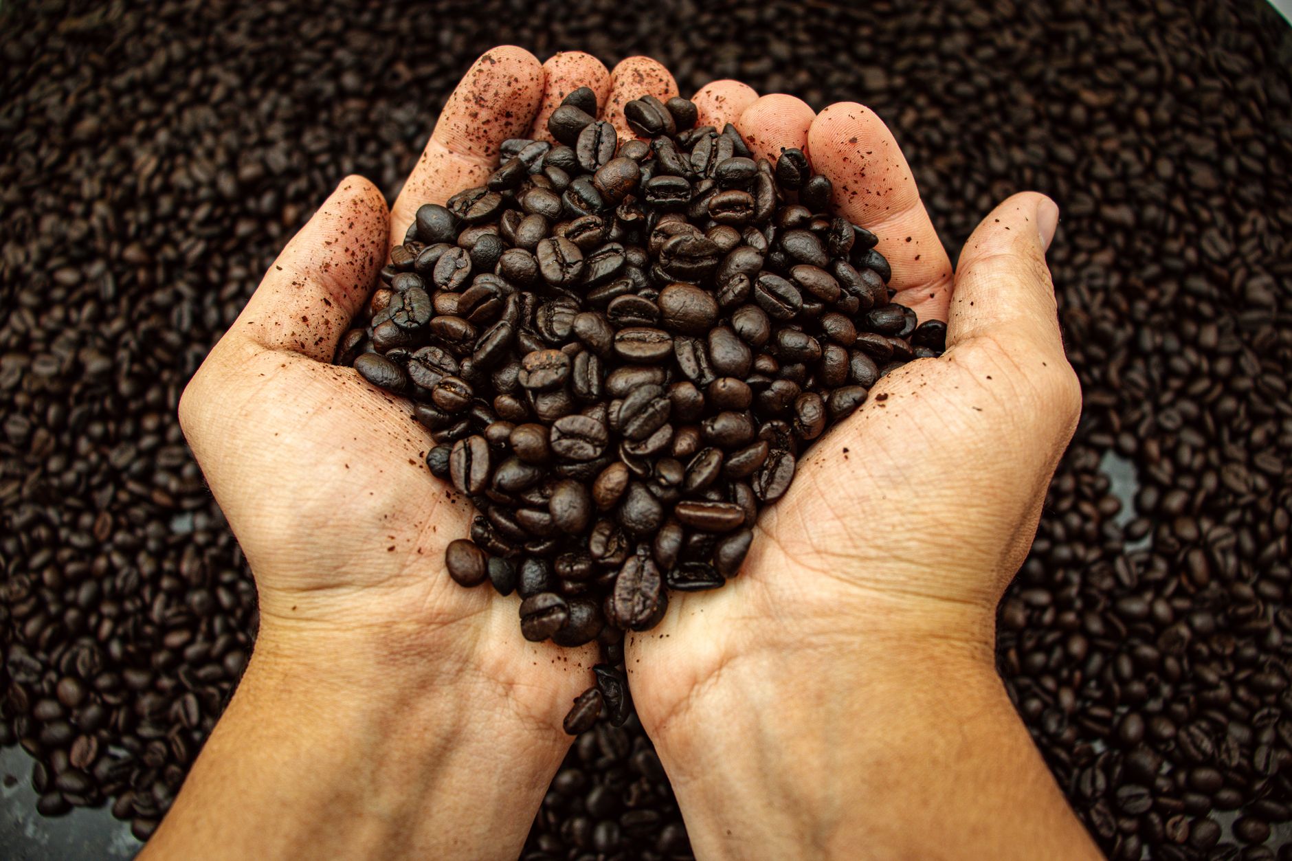 coarse ground coffee measured for cold brew ratio