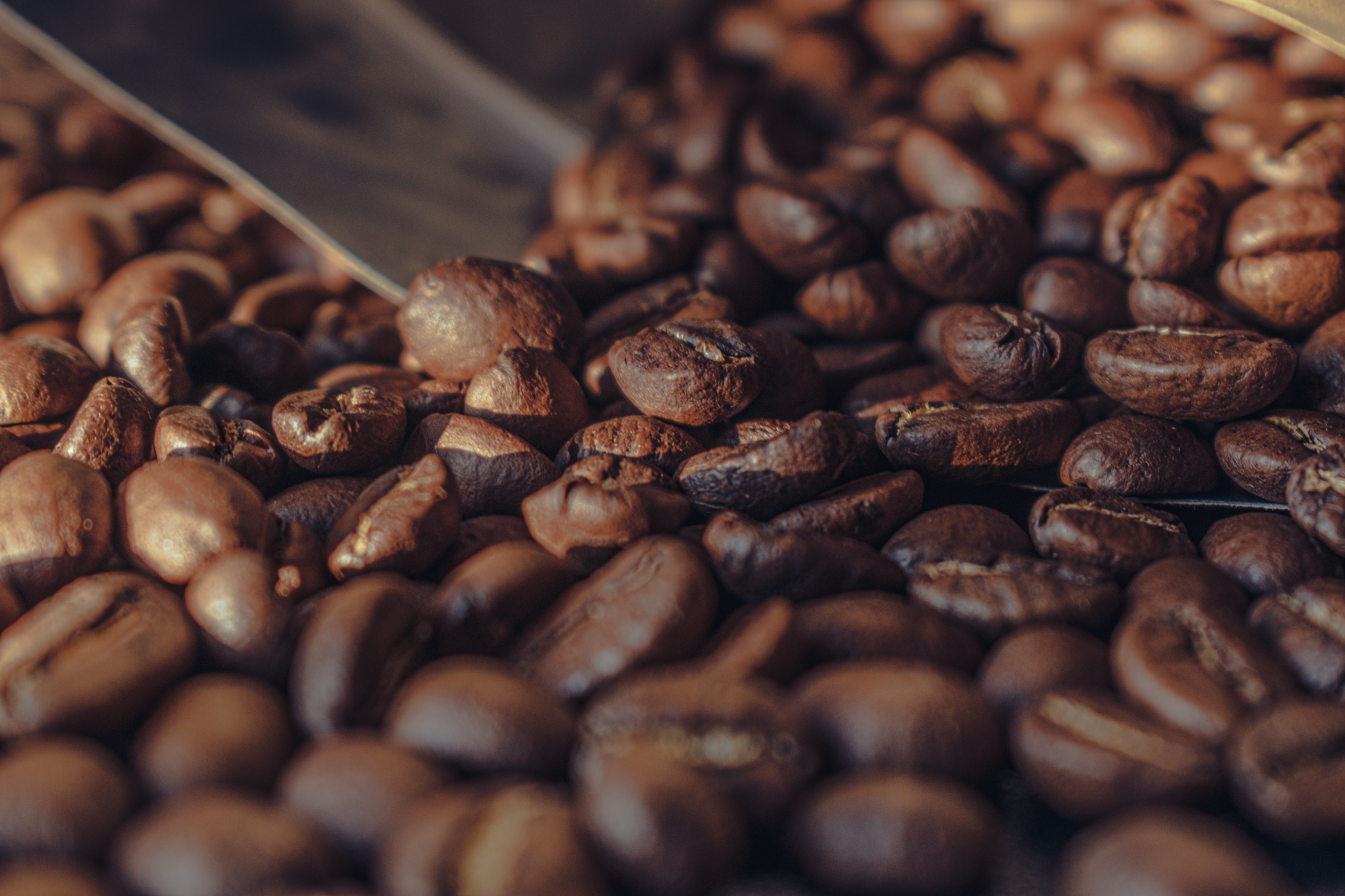 coffee subscription comparison bags roasters specialty