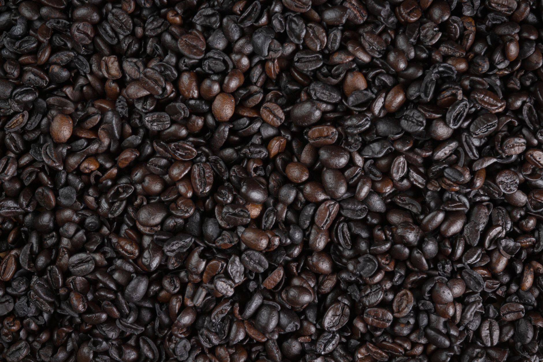 washed coffee beans drying raised bed Ethiopia