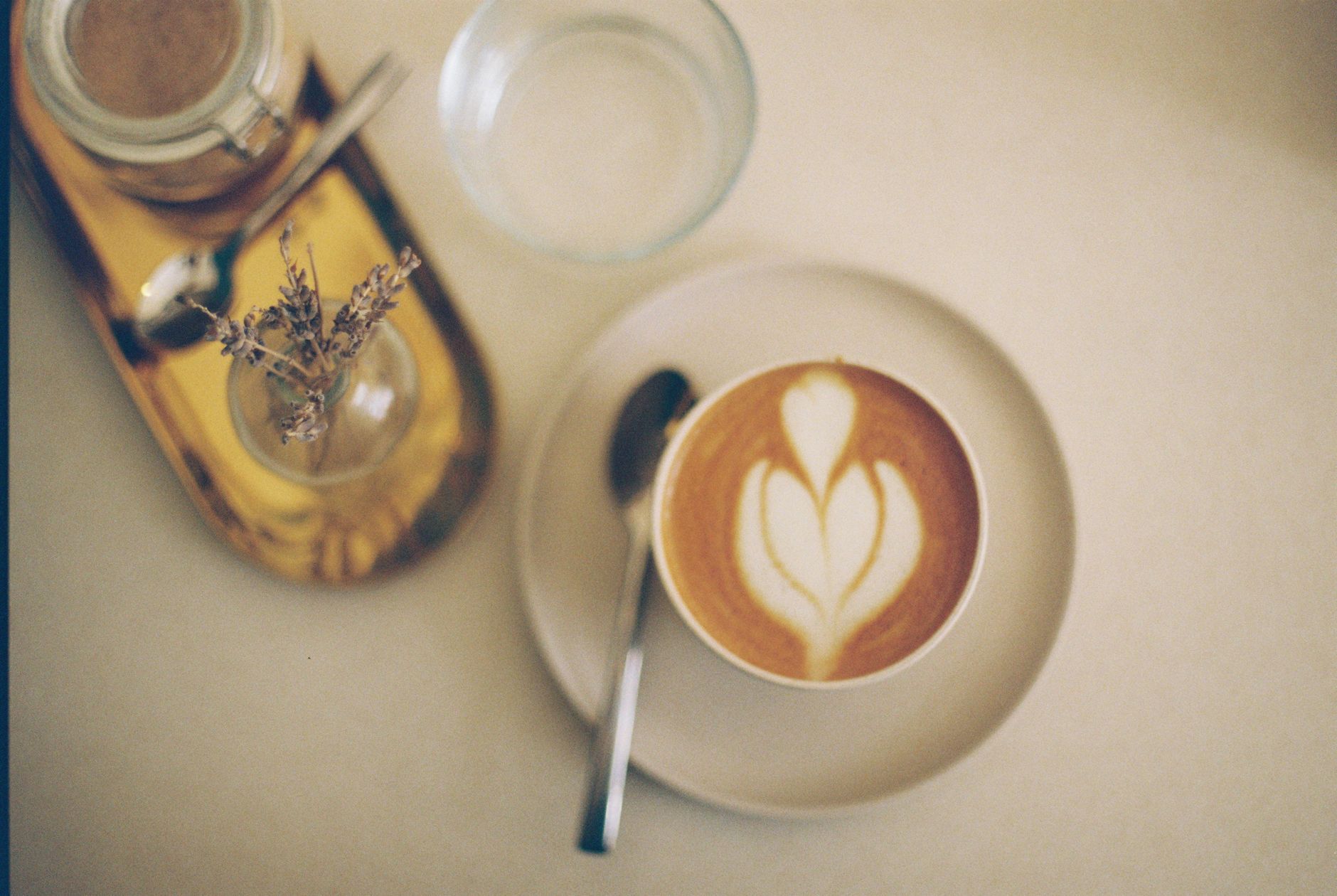 flat white ceramic cup microfoam latte art