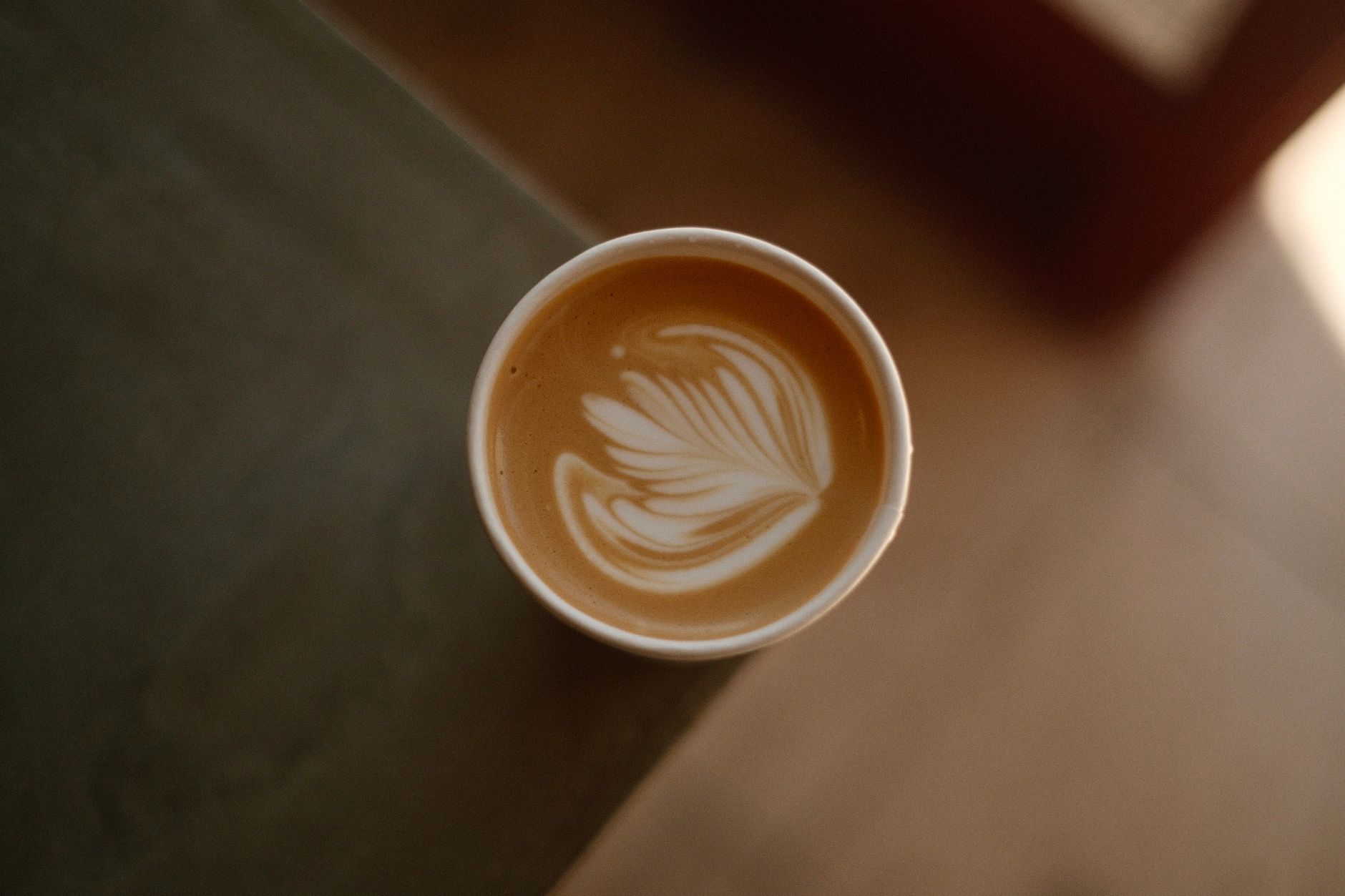 cortado glass espresso steamed milk ratio