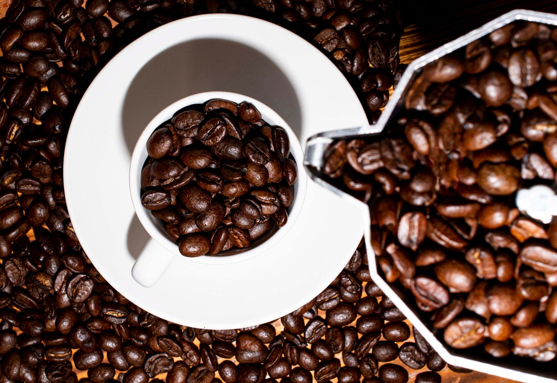 coffee grinder burr steel flat espresso setting close-up