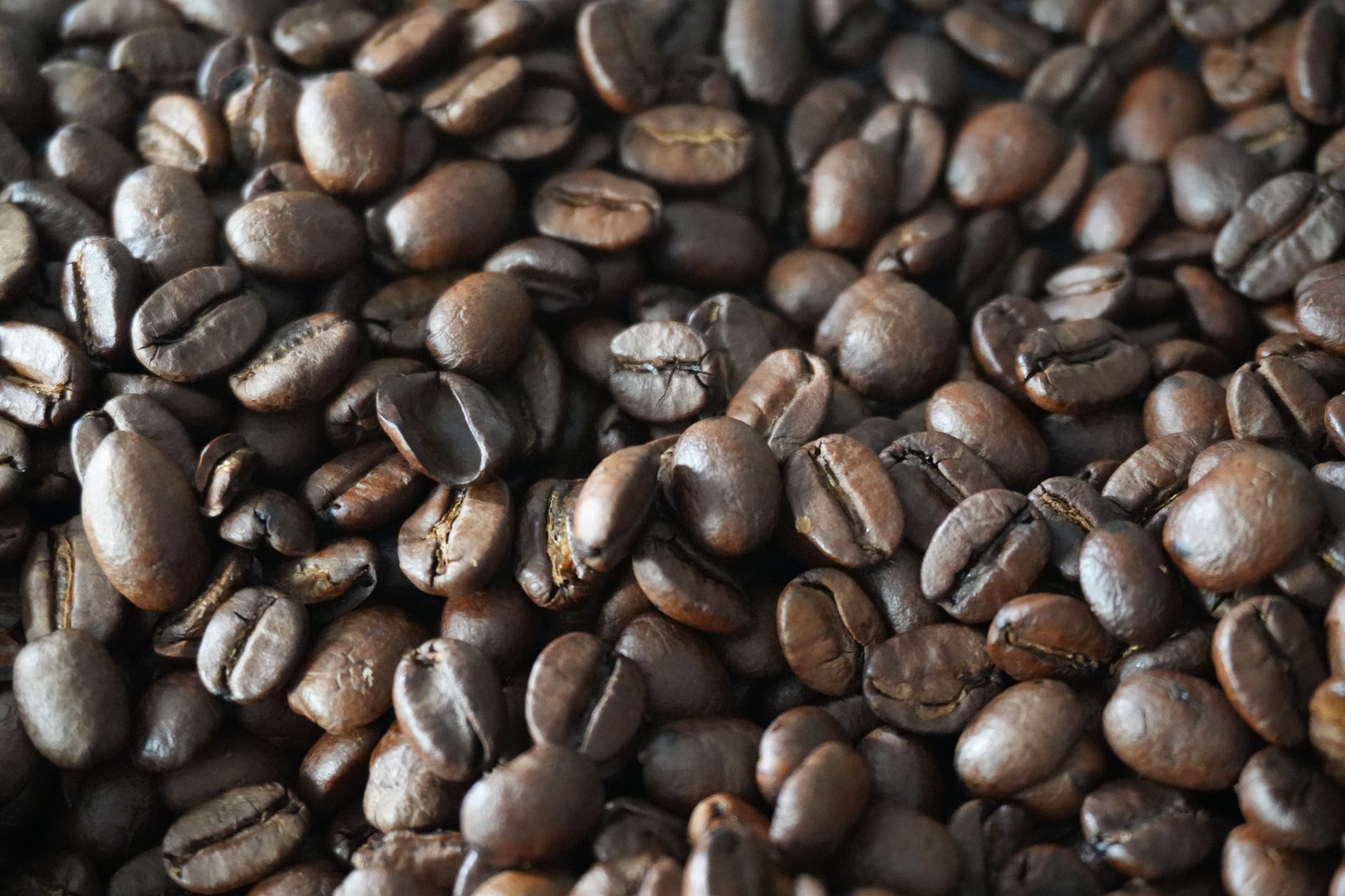 coffee burr grinder coarse grind setting espresso comparison